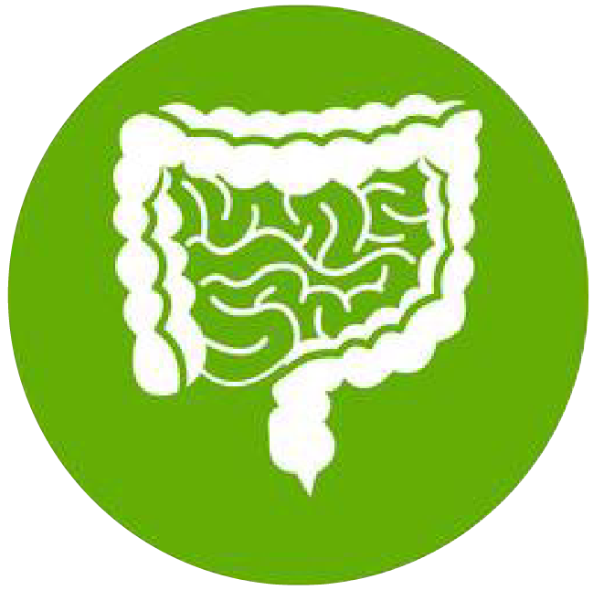 關(guān)注職場“腸”態(tài)，守護(hù)員工健康——上海格瑞特特邀消化內(nèi)科專家公益系列講座（4）(圖1)