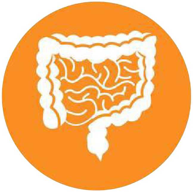 關(guān)注職場“腸”態(tài)，守護(hù)員工健康——上海格瑞特特邀消化內(nèi)科專家公益系列講座（4）(圖4)